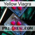 Yellow Viagra 14